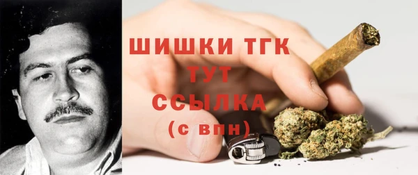 дмт Надым