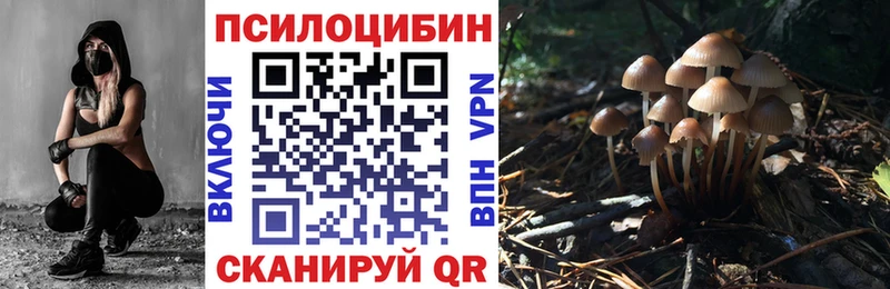 OMG сайт  Агрыз  Галлюциногенные грибы MAGIC MUSHROOMS  где найти  